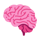vetor cerebro